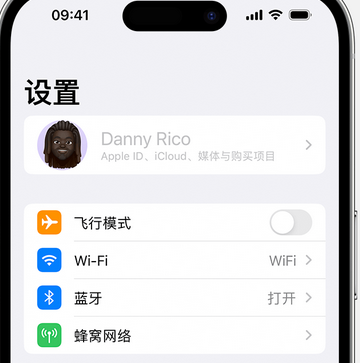 武鸣appleID维修服务iPhone设置中Apple ID显示为灰色无法使用