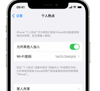 武鸣apple服务站点分享iPhone上个人热点丢失了怎么办 