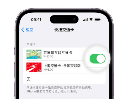 武鸣apple维修点分享iPhone上更换Apple Pay快捷交通卡手绘卡面 