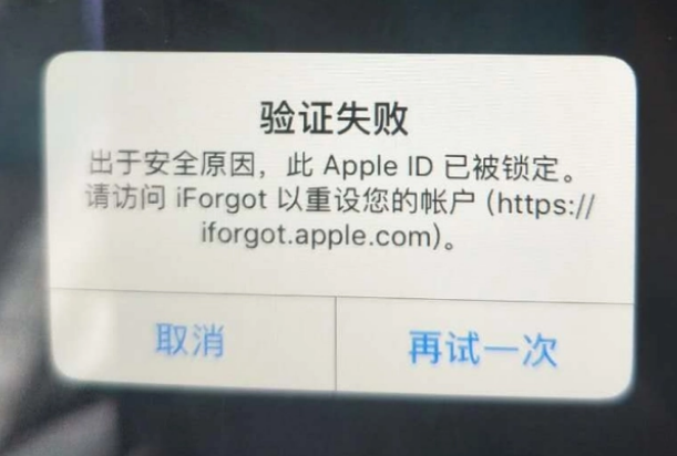 武鸣iPhone维修分享iPhone上正常登录或使用AppleID怎么办 