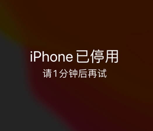 武鸣苹果手机维修分享:iPhone 显示“不可用”或“已停用”怎么办？还能保留数据吗？ 