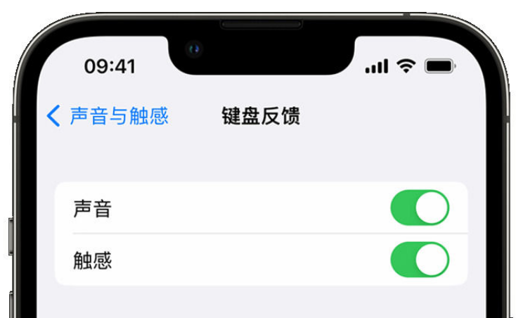 武鸣苹果手机维修分享iPhone 14触感键盘使用方法 