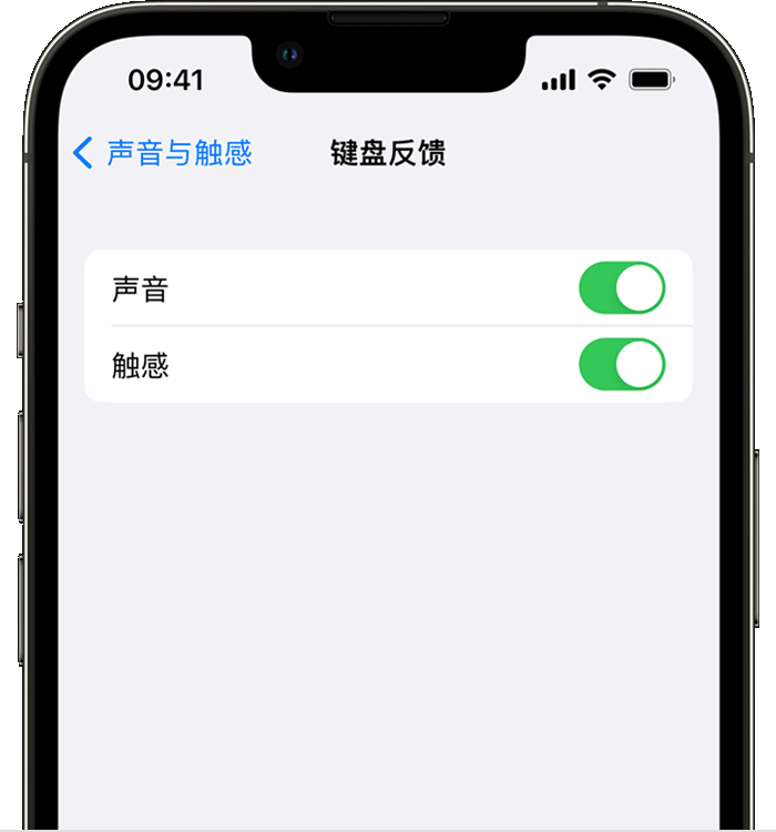 武鸣苹果14维修店分享如何在 iPhone 14 机型中使用触感键盘 