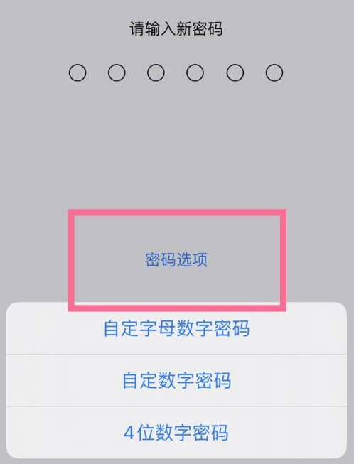 武鸣苹果14维修分享iPhone 14plus设置密码的方法 