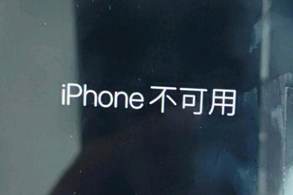 武鸣苹果服务网点分享锁屏界面显示“iPhone 不可用”如何解决 