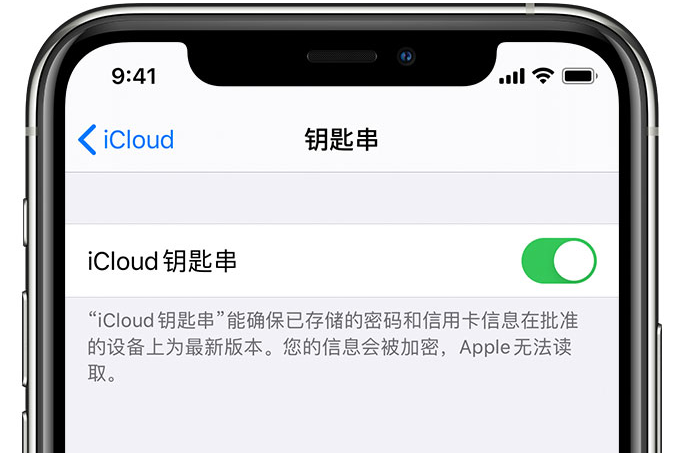 武鸣苹果手机维修分享在 iPhone 上开启 iCloud 钥匙串之后会储存哪些信息 