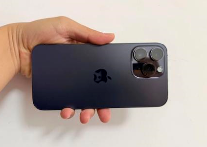 武鸣苹果维修点分享iPhone 14 Pro Max黑屏少见故障盘点 